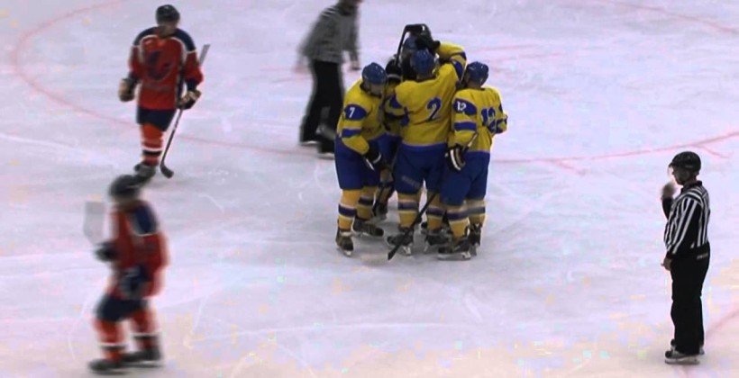 Нидерланды - Украина 1:3. ВИДЕО - Сборные команды