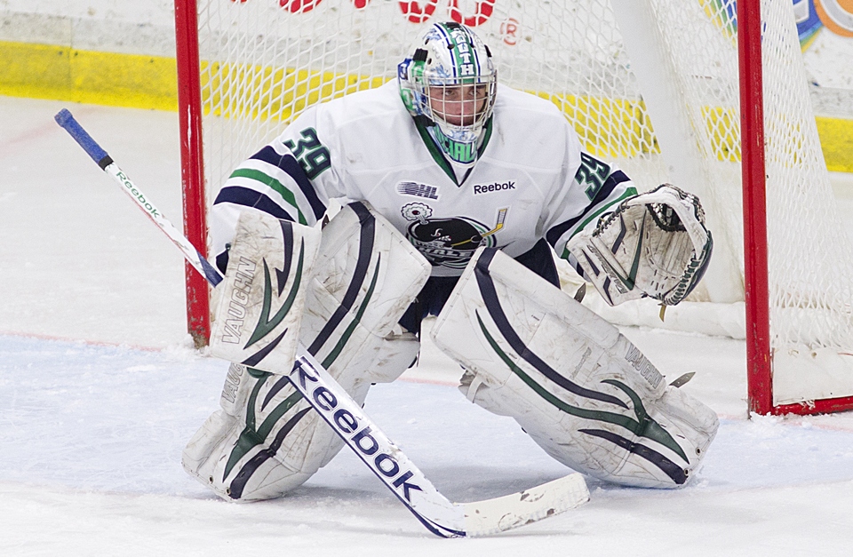 Алекс Неделькович, Plymouth Whalers