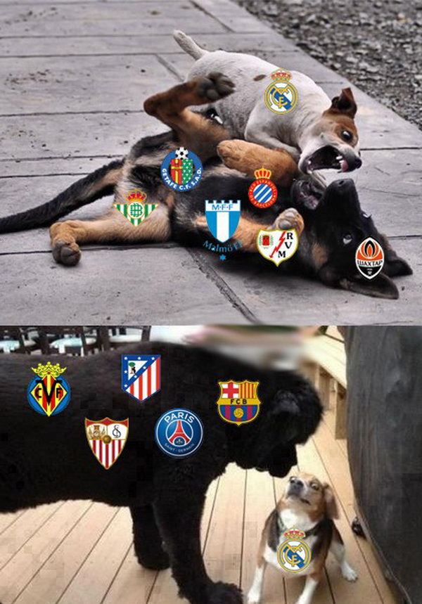 m12