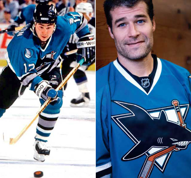 sharks