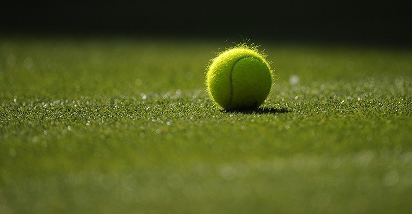 В календаре ATP появится новый турнир на траве - Теннис