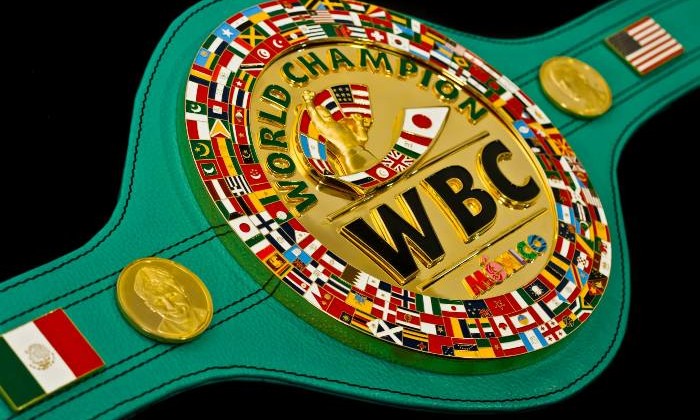 WBC: судьи должны будут носить наушники - Бокс