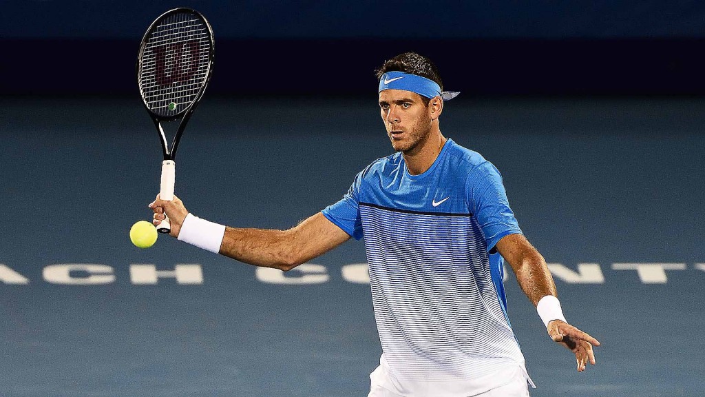 Хуан Мартин Дель Потро, atpworldtour.com