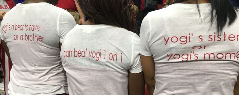 yogi
