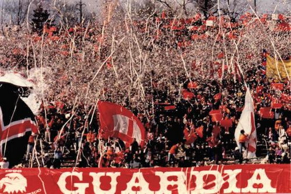 foto22[1][1]