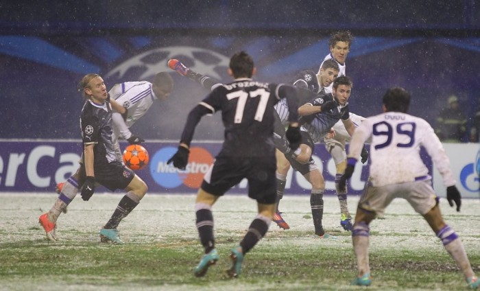 Вида познакомился с Олимпийским. Ему у нас понравилось, фото fcdynamo.kiev.ua
