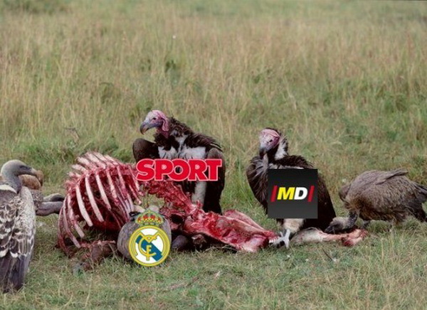 m7