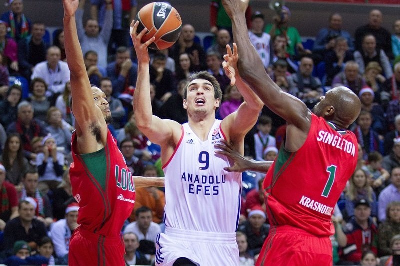 Дарио Шарич, Euroleague Basketball