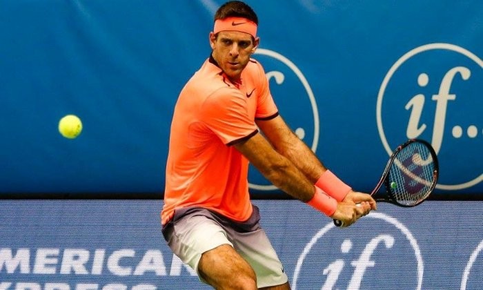 Дель Потро выиграл первый титул за два года - Теннис