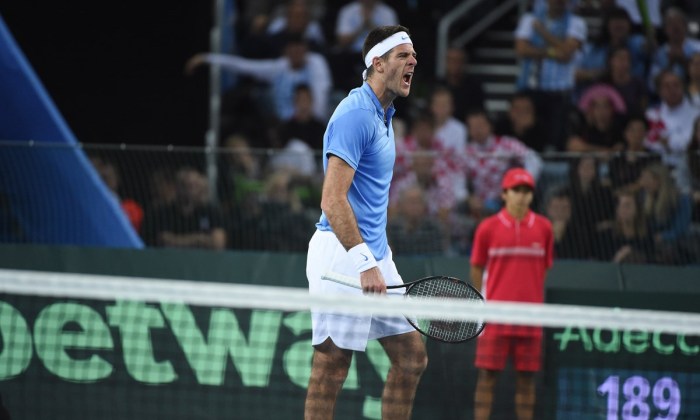 Хуан Мартин дель Потро, daviscup.com