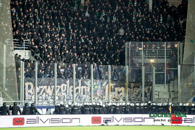 arka-lechia-53