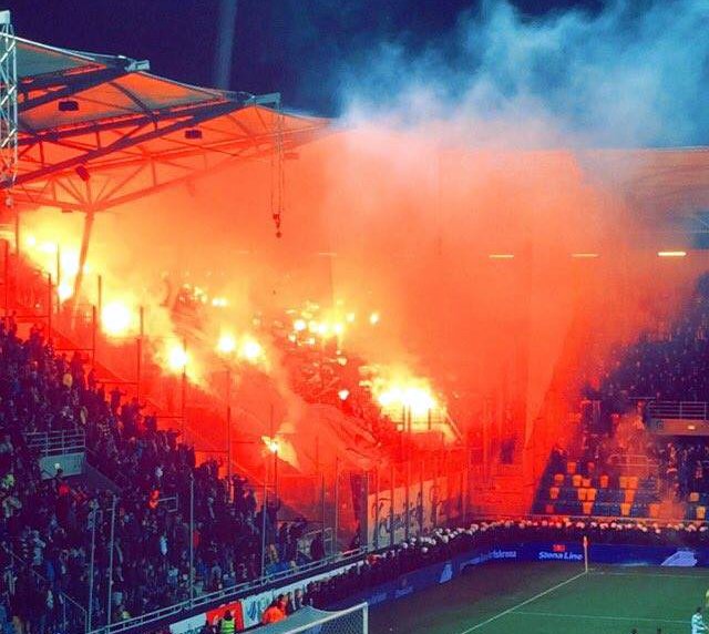 arka-lechia-58
