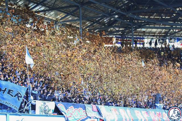hansa-mainz_4