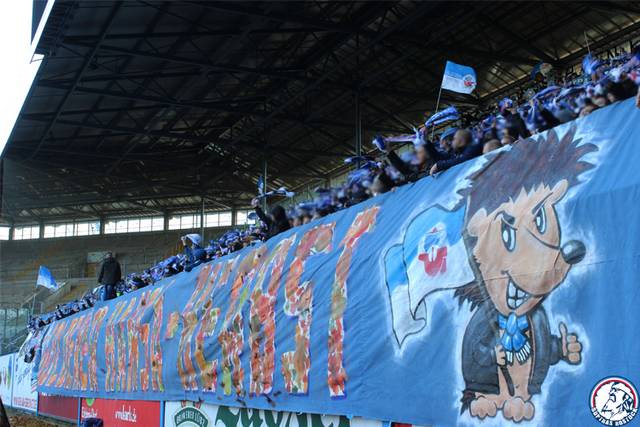 hansa-mainz_8