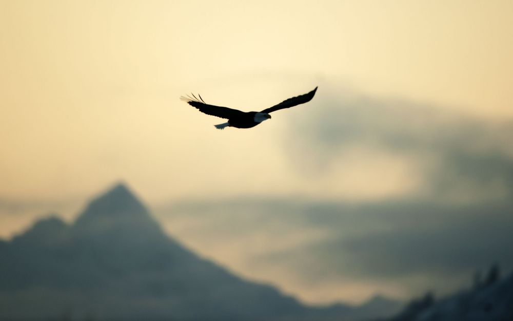 tmb_72268_5265