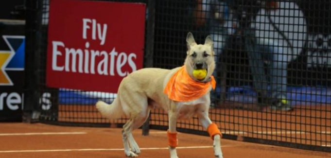 Tennis World