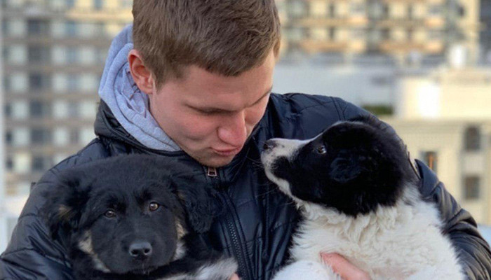 Калитвинцев нашел семьи для 4 щенков - Другая сторона