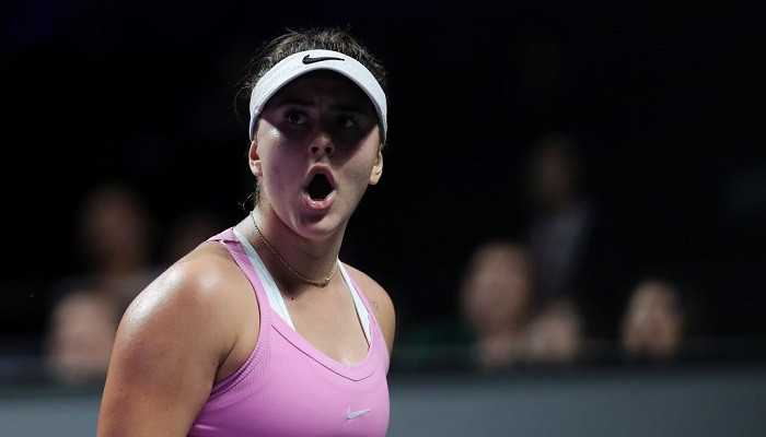 Андрееску пропустит Australian Open и продолжит залечивать колено - Australian Open