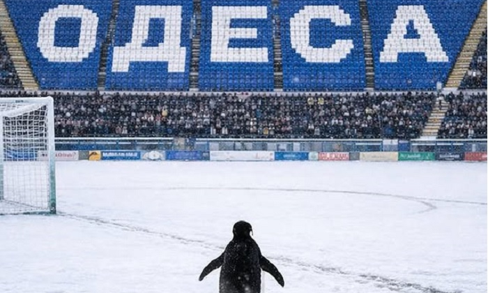 Погода в Украине не только усугубляет ситуацию с электроэнергией и отоплением: футбол тоже пострадал. Учитывая прогнозы, ситуация катастрофическая
